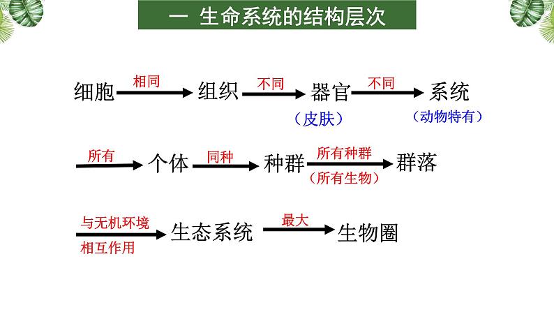 专题01 组成细胞的分子-2021年高考备考生物一轮复习课件(共111张PPT)04