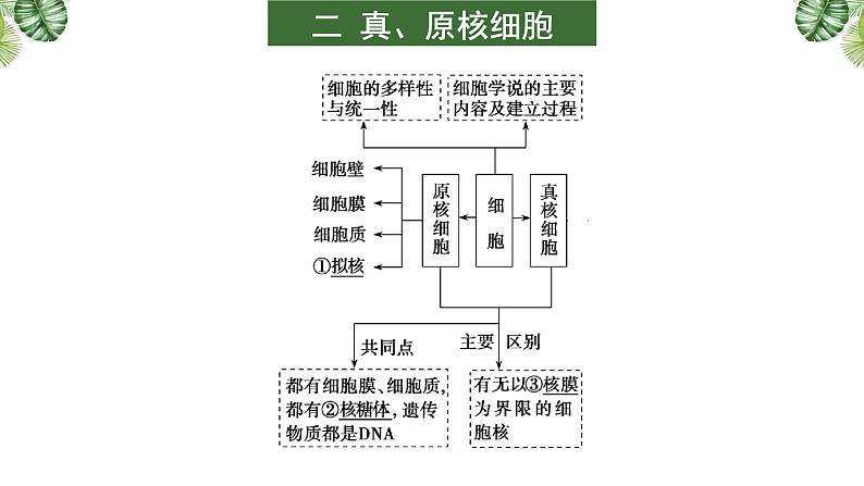 专题01 组成细胞的分子-2021年高考备考生物一轮复习课件(共111张PPT)06