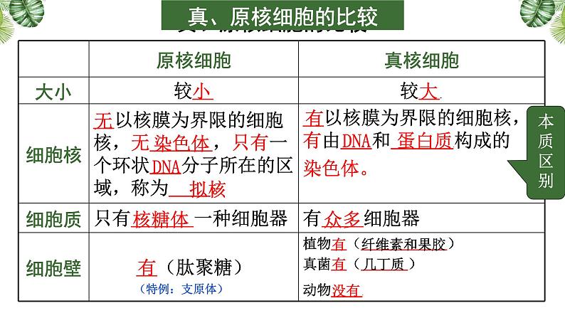 专题01 组成细胞的分子-2021年高考备考生物一轮复习课件(共111张PPT)07