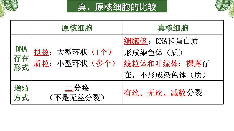 专题01 组成细胞的分子-2021年高考备考生物一轮复习课件(共111张PPT)08