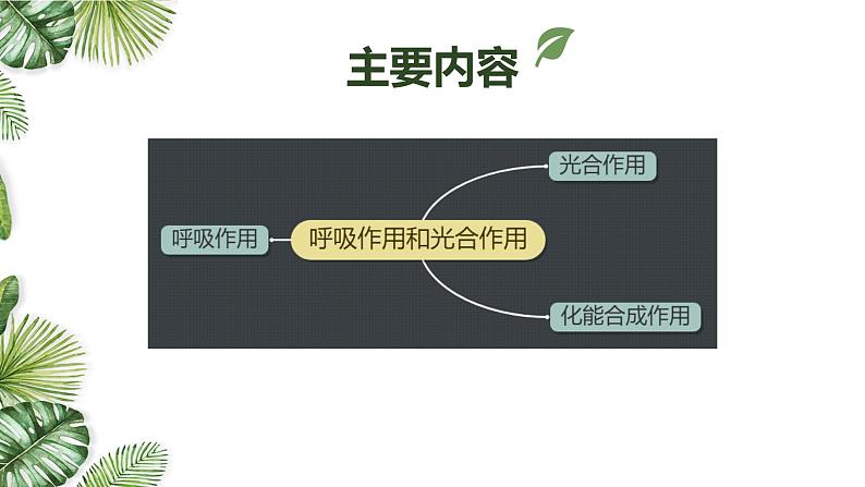 专题05 呼吸与光合-2021年高考备考生物一轮复习课件(共144张PPT)02