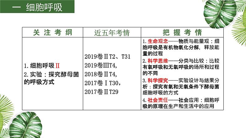 专题05 呼吸与光合-2021年高考备考生物一轮复习课件(共144张PPT)04