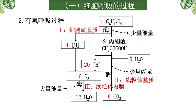 专题05 呼吸与光合-2021年高考备考生物一轮复习课件(共144张PPT)07