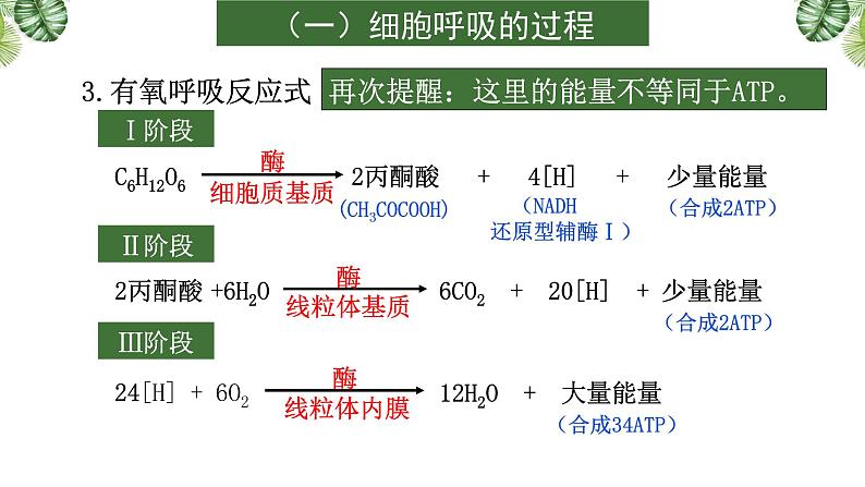 专题05 呼吸与光合-2021年高考备考生物一轮复习课件(共144张PPT)08