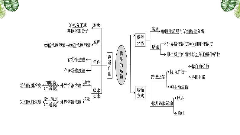 专题03 物质的运输-2021年高考备考生物一轮复习课件(共50张PPT)03