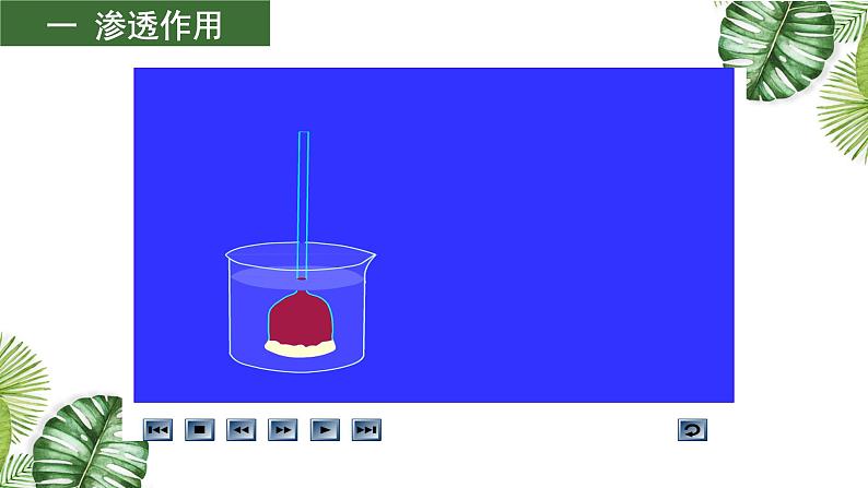 专题03 物质的运输-2021年高考备考生物一轮复习课件(共50张PPT)05