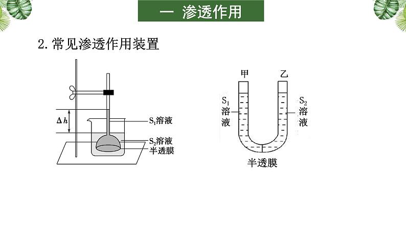 专题03 物质的运输-2021年高考备考生物一轮复习课件(共50张PPT)07