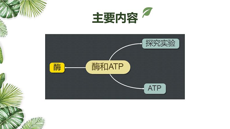 专题04 酶和ATP-2021年高考备考生物一轮复习课件(共68张PPT)02