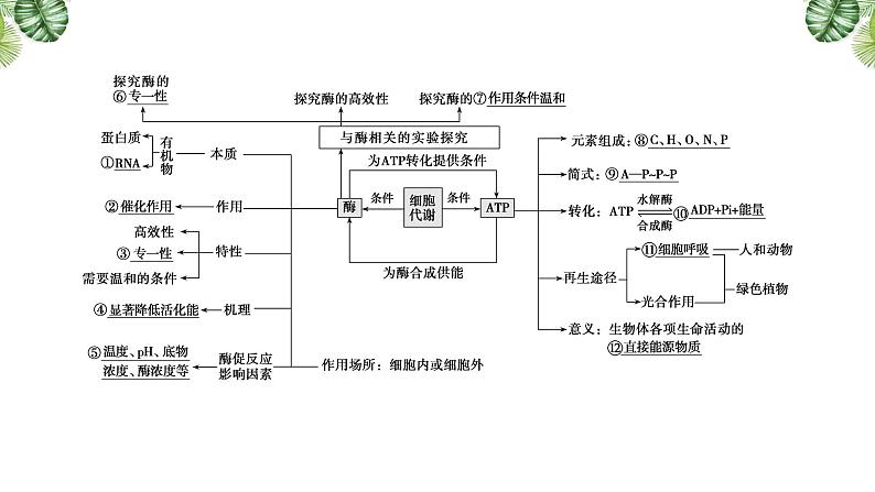 专题04 酶和ATP-2021年高考备考生物一轮复习课件(共68张PPT)03