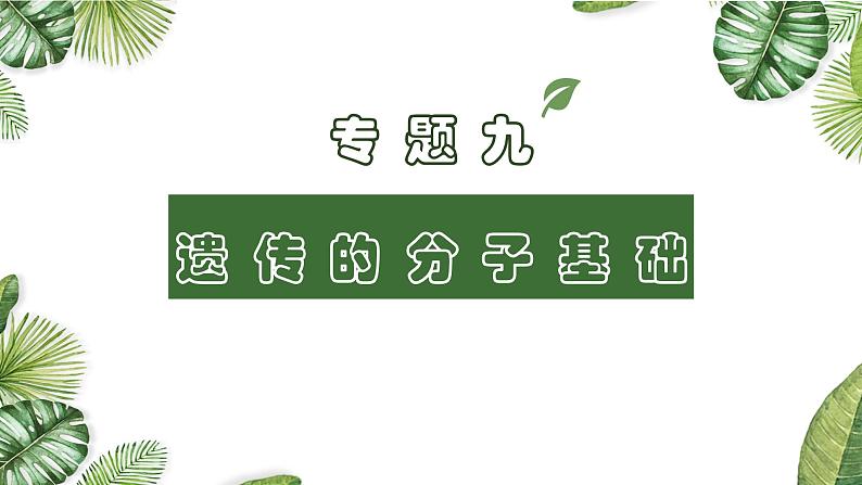 专题09 遗传的分子基础-2021年高考备考生物一轮复习课件(共128张PPT)01