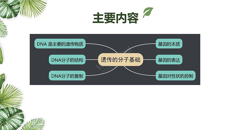 专题09 遗传的分子基础-2021年高考备考生物一轮复习课件(共128张PPT)02