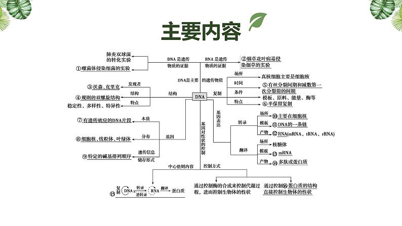 专题09 遗传的分子基础-2021年高考备考生物一轮复习课件(共128张PPT)03