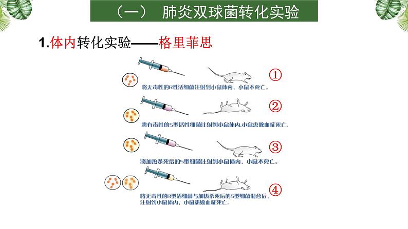 专题09 遗传的分子基础-2021年高考备考生物一轮复习课件(共128张PPT)06