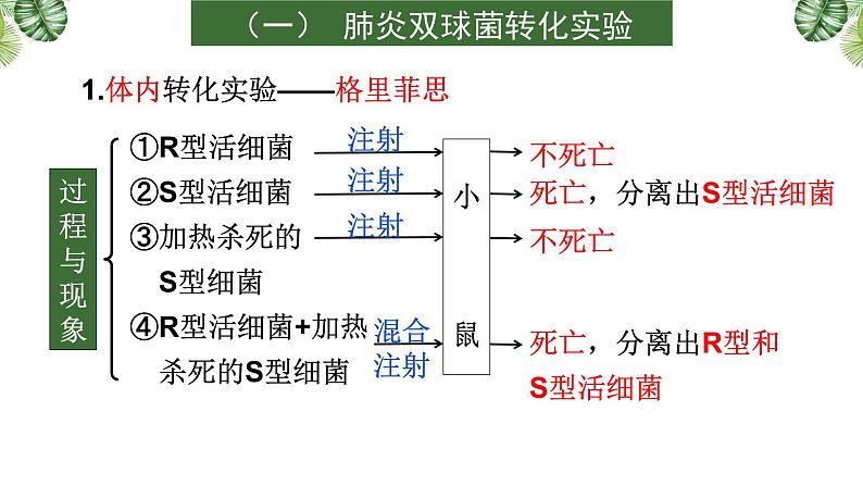 专题09 遗传的分子基础-2021年高考备考生物一轮复习课件(共128张PPT)07