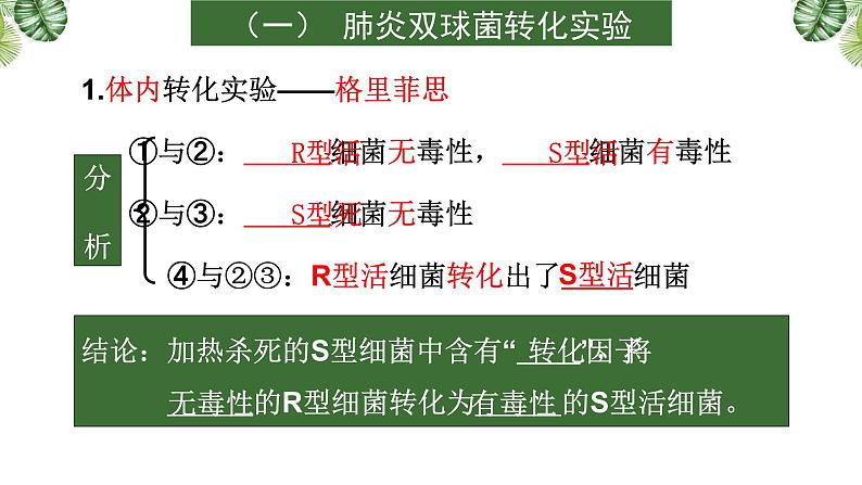 专题09 遗传的分子基础-2021年高考备考生物一轮复习课件(共128张PPT)08