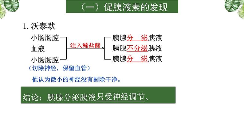 专题12 生命活动的调节（二）-2021年高考备考生物一轮复习课件(共98张PPT)第6页