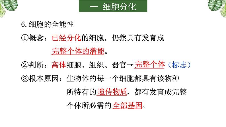 专题06 细胞的生命历程-2021年高考备考生物一轮复习课件(共130张PPT)第7页