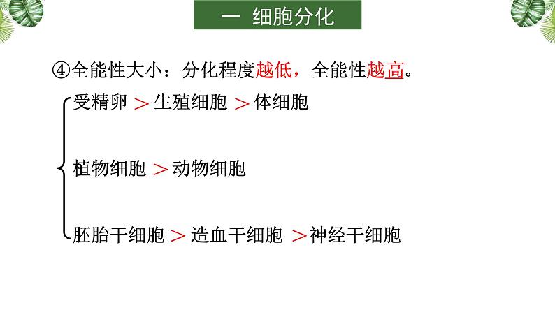 专题06 细胞的生命历程-2021年高考备考生物一轮复习课件(共130张PPT)第8页