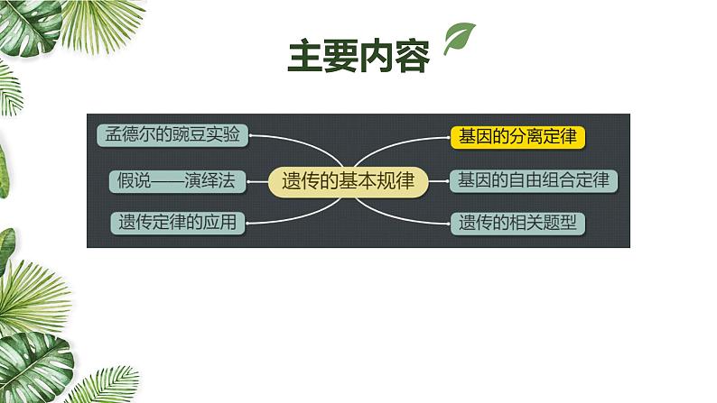 专题07 遗传的基本规律-2021年高考备考生物一轮复习课件(共107张PPT)02