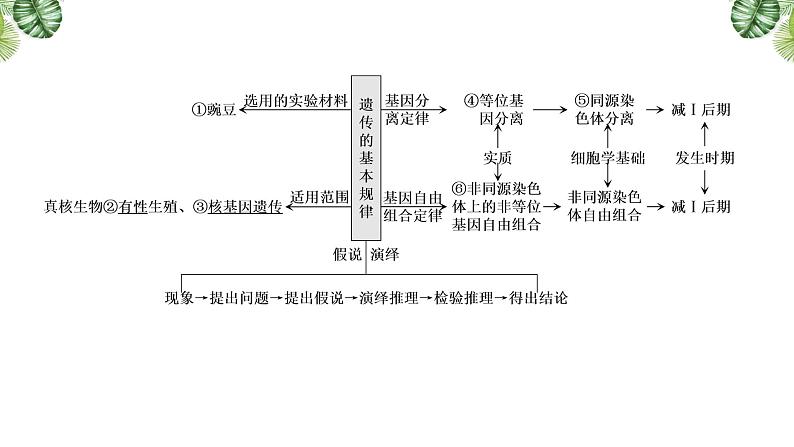 专题07 遗传的基本规律-2021年高考备考生物一轮复习课件(共107张PPT)03