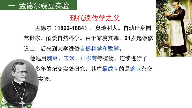 专题07 遗传的基本规律-2021年高考备考生物一轮复习课件(共107张PPT)04