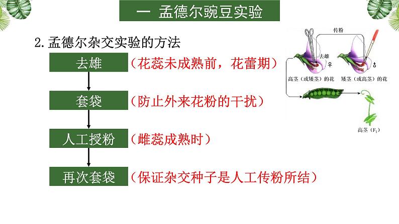 专题07 遗传的基本规律-2021年高考备考生物一轮复习课件(共107张PPT)07