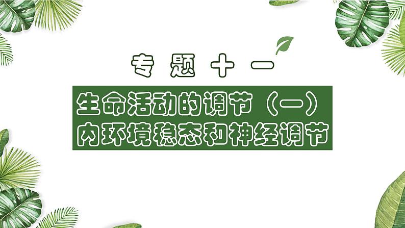 专题11 生命活动的调节-2021年高考备考生物一轮复习课件(共108张PPT)01