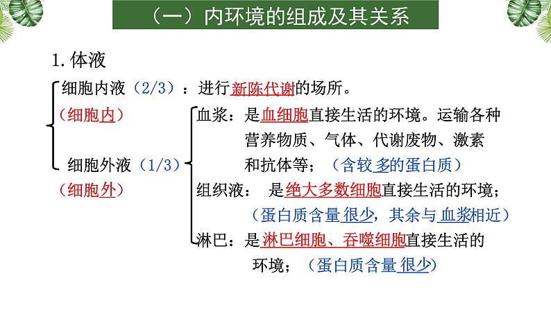 专题11 生命活动的调节-2021年高考备考生物一轮复习课件(共108张PPT)05