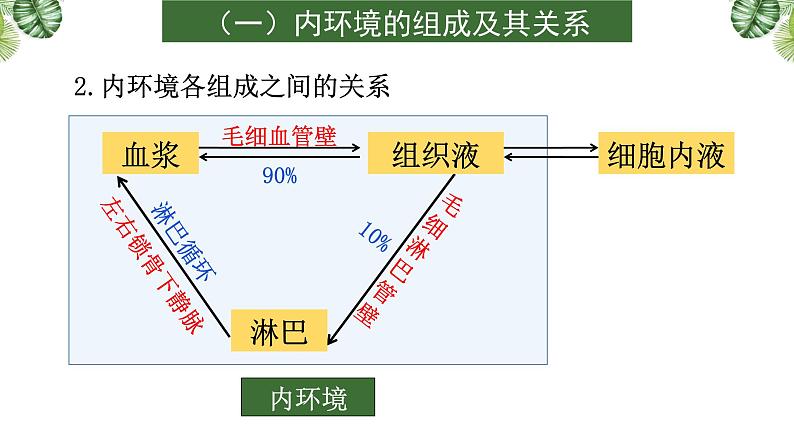 专题11 生命活动的调节-2021年高考备考生物一轮复习课件(共108张PPT)06