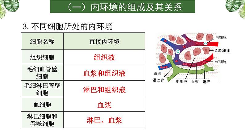 专题11 生命活动的调节-2021年高考备考生物一轮复习课件(共108张PPT)07