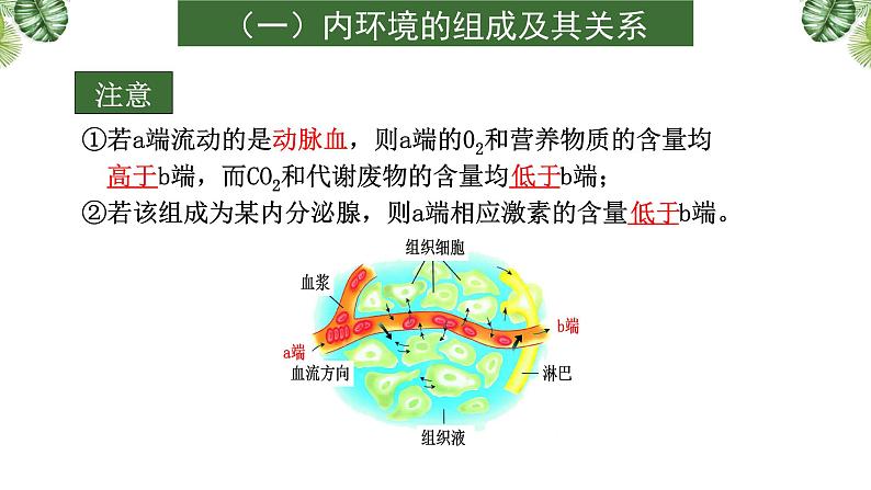 专题11 生命活动的调节-2021年高考备考生物一轮复习课件(共108张PPT)08