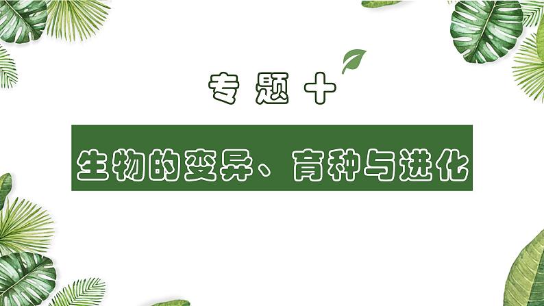 专题10 生物的变异、育种与进化-2021年高考备考生物一轮复习课件(共137张PPT)01