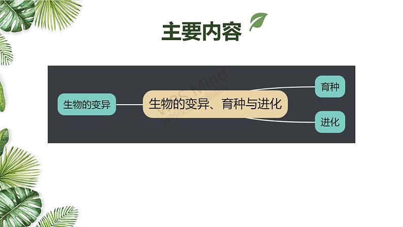 专题10 生物的变异、育种与进化-2021年高考备考生物一轮复习课件(共137张PPT)02