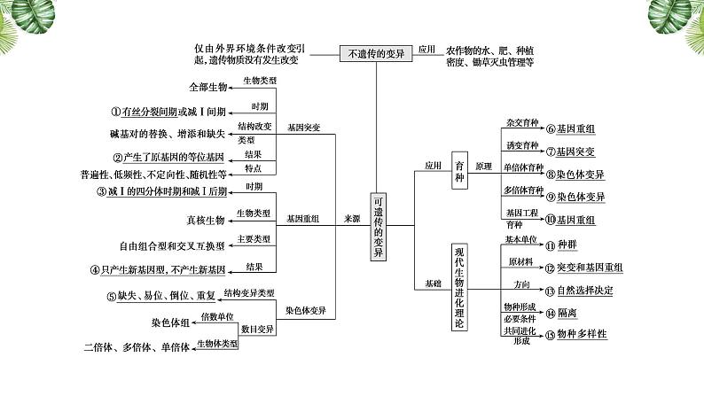 专题10 生物的变异、育种与进化-2021年高考备考生物一轮复习课件(共137张PPT)03