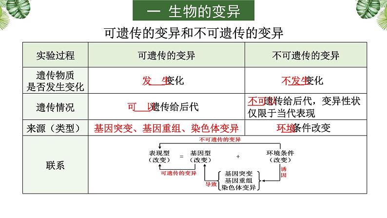 专题10 生物的变异、育种与进化-2021年高考备考生物一轮复习课件(共137张PPT)05