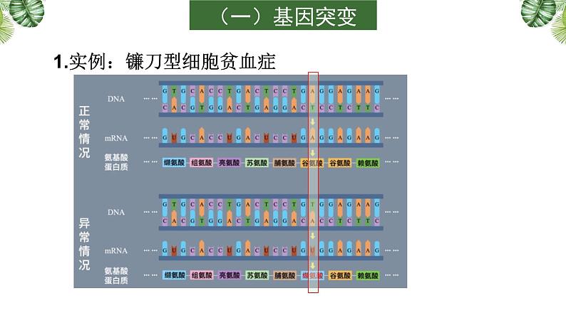 专题10 生物的变异、育种与进化-2021年高考备考生物一轮复习课件(共137张PPT)08