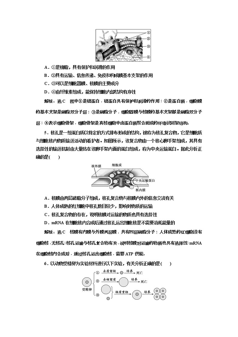 2019届高考生物一轮课时跟踪检测05《细胞膜和细胞核 》(含解析)02