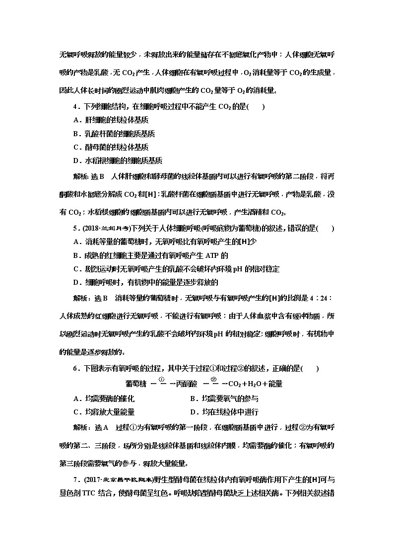 2019届高考生物一轮课时跟踪检测09《ATP与细胞呼吸 》(含解析)02