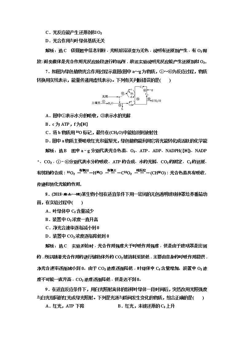 2019届高考生物一轮课时跟踪检测10《光合作用的过程和影响因素 》(含解析)03