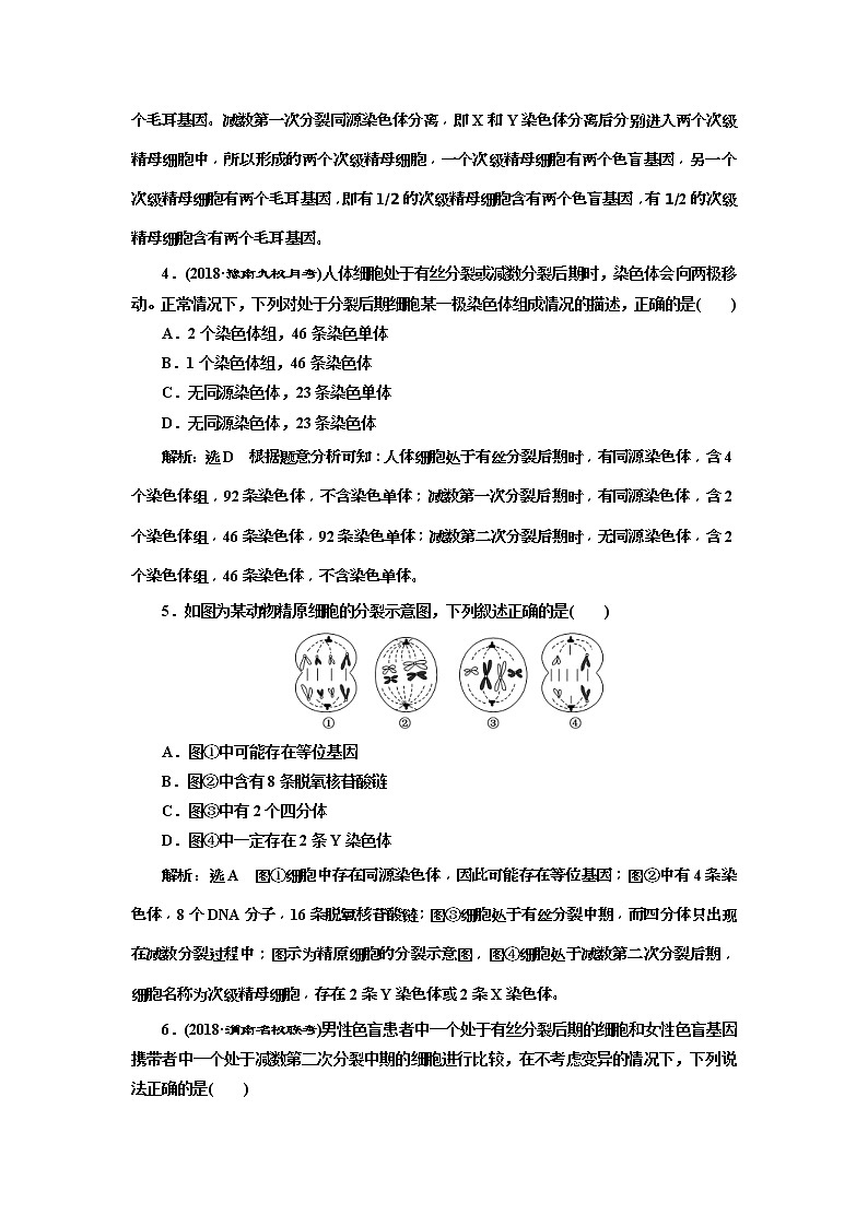 2019届高考生物一轮课时跟踪检测13《减数分裂与受精作用 》(含解析)02