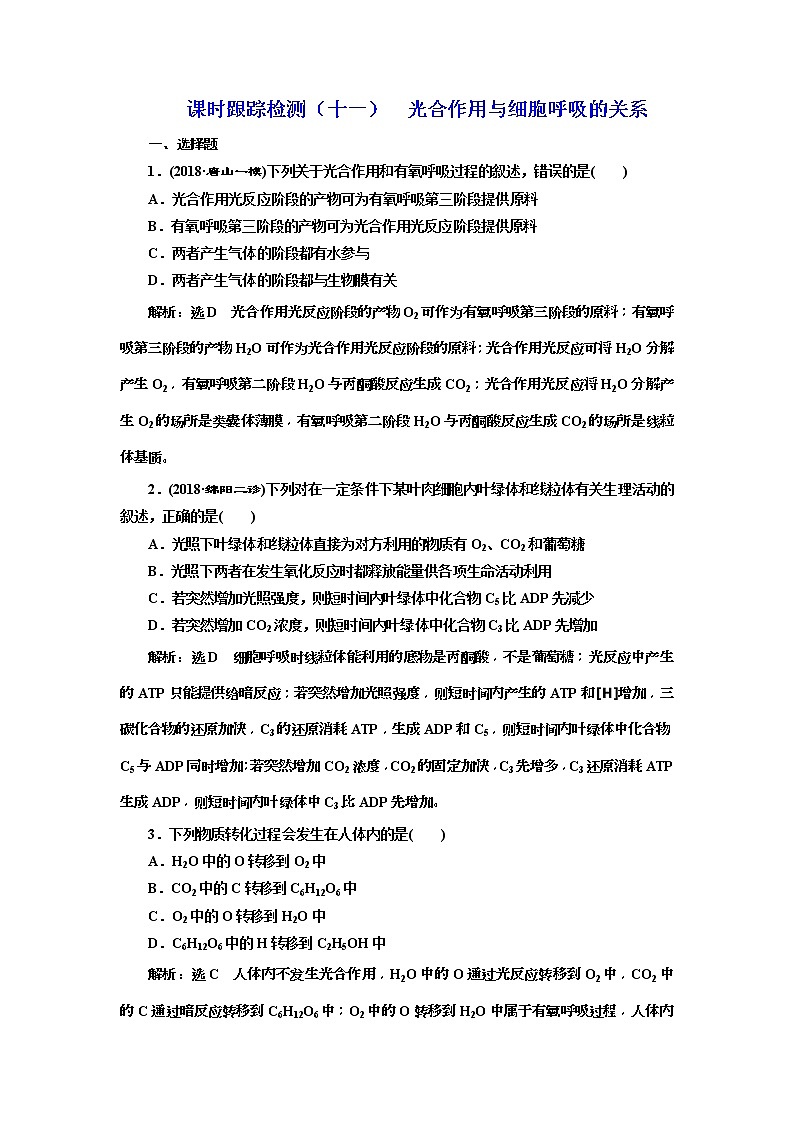 2019届高考生物一轮课时跟踪检测11《光合作用与细胞呼吸的关系 》(含解析)01