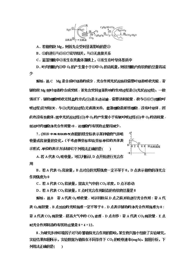 2019届高考生物一轮课时跟踪检测11《光合作用与细胞呼吸的关系 》(含解析)03