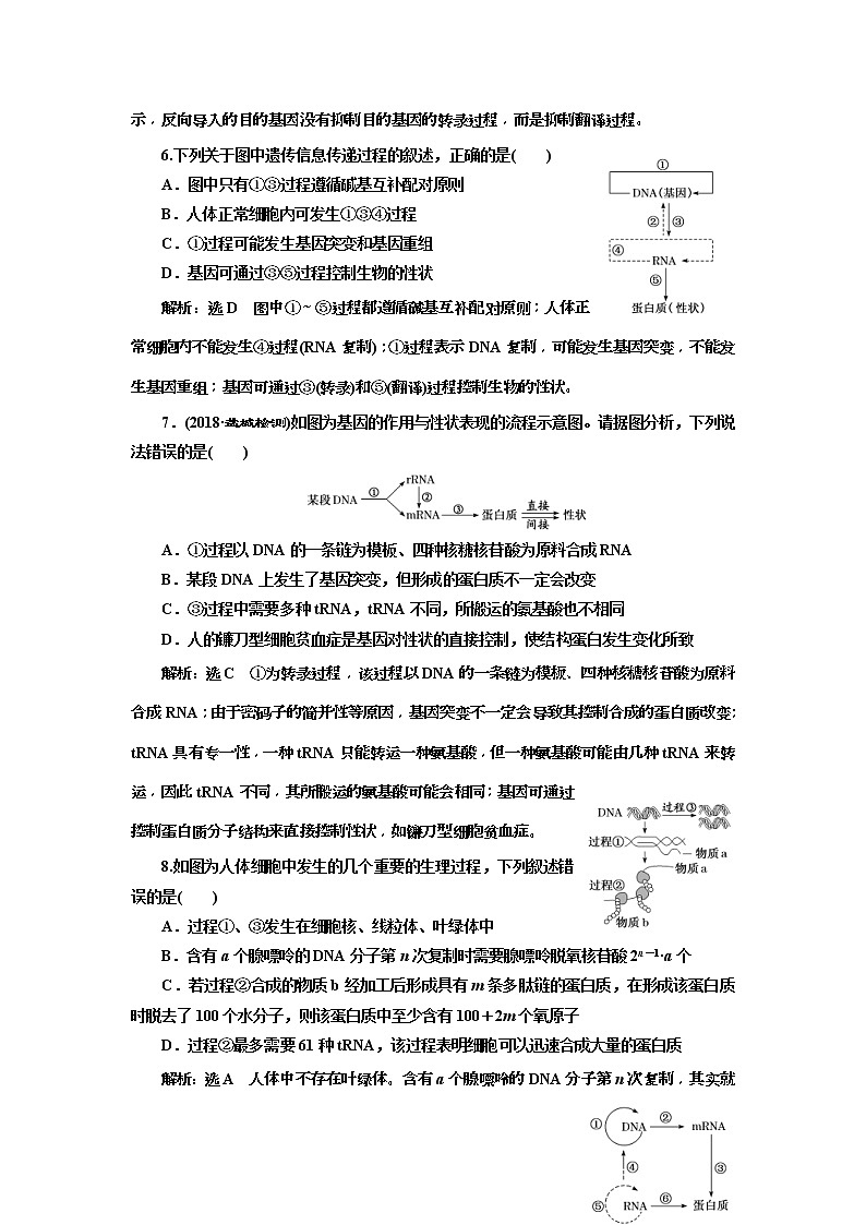 2019届高考生物一轮课时跟踪检测21《基因的表达 》(含解析)03
