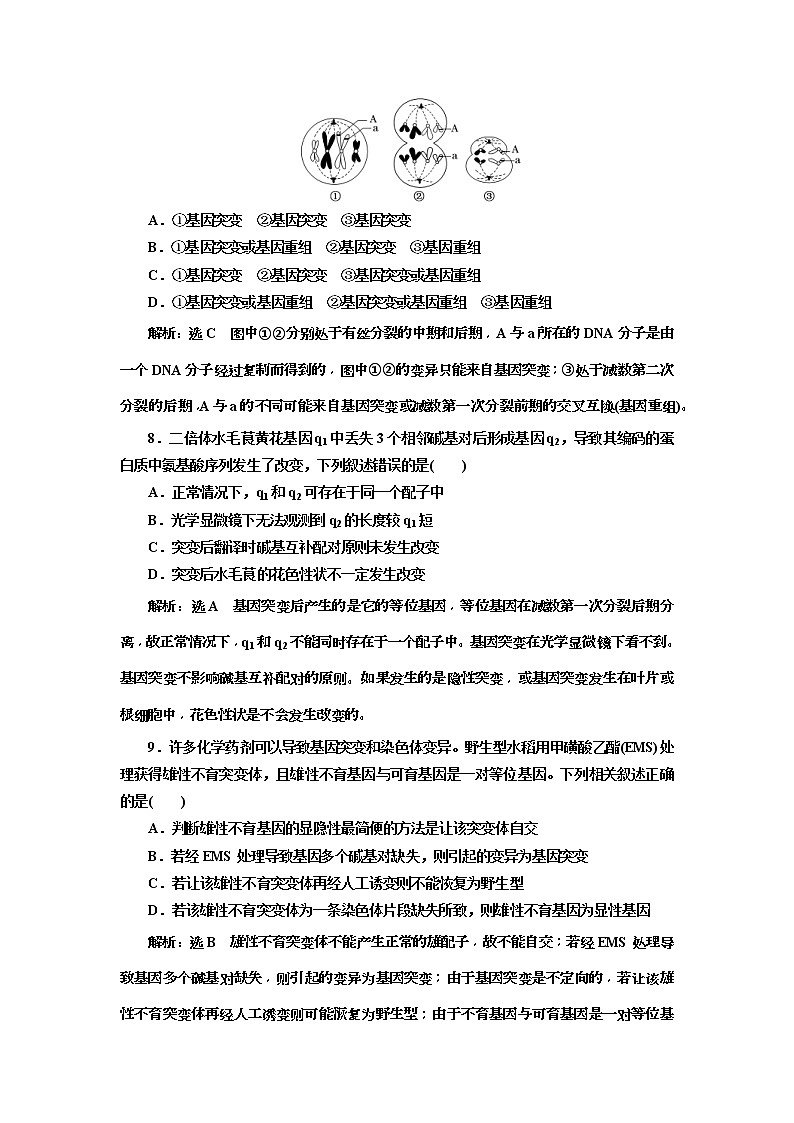 2019届高考生物一轮课时跟踪检测22《基因突变和基因重组 》(含解析)03