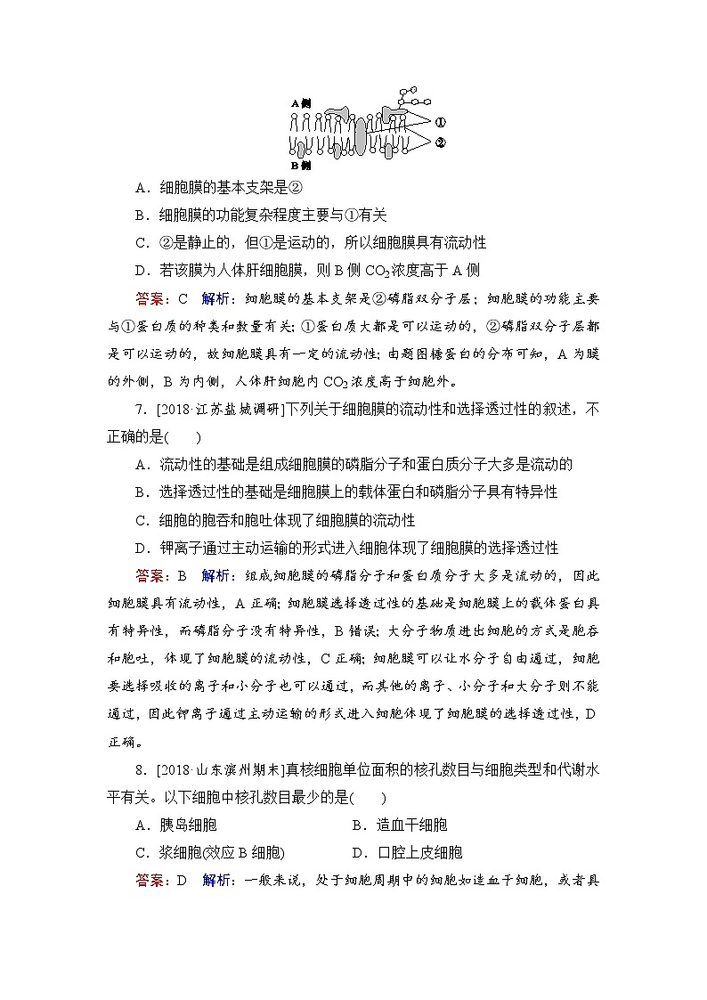 2019届高考生物一轮复习：课时作业5细胞膜与细胞核（含解析） 练习03