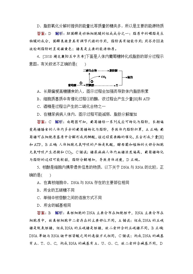 2019届高考生物一轮复习：课时作业4细胞中的核酸、糖类和脂质（含解析） 练习02
