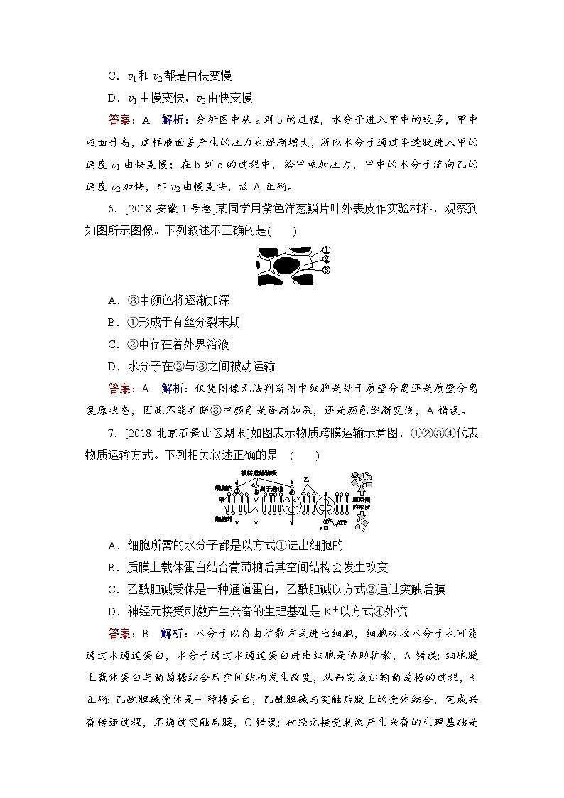 2019届高考生物一轮复习：课时作业7细胞的物质输入和输出（含解析） 练习03