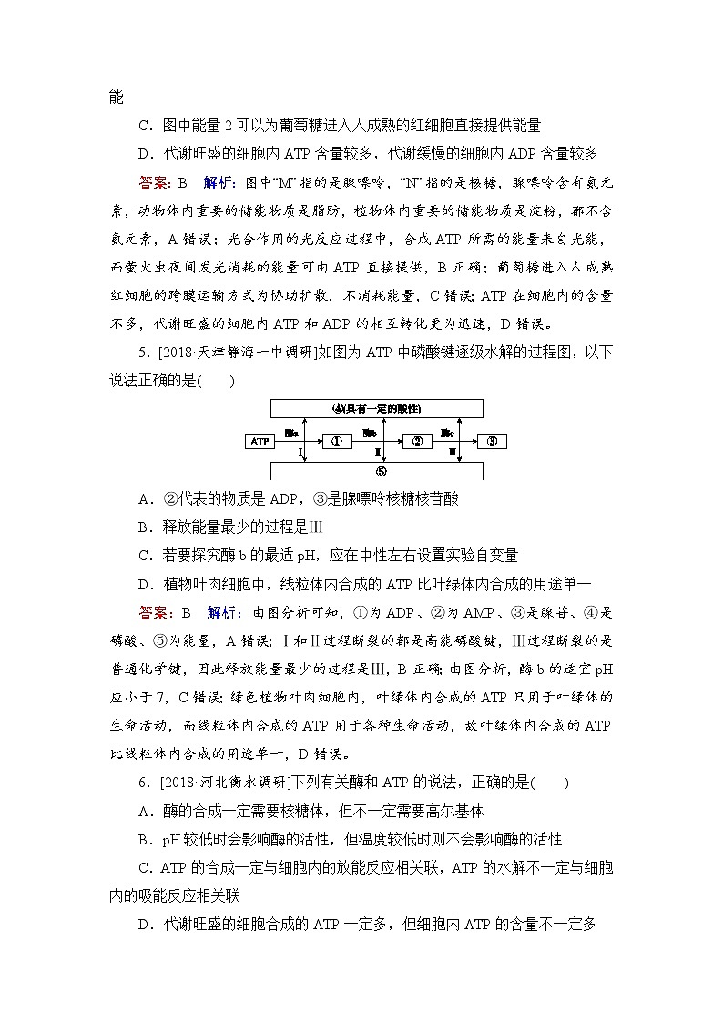 2019届高考生物一轮复习：课时作业8ATP和酶（含解析） 练习03