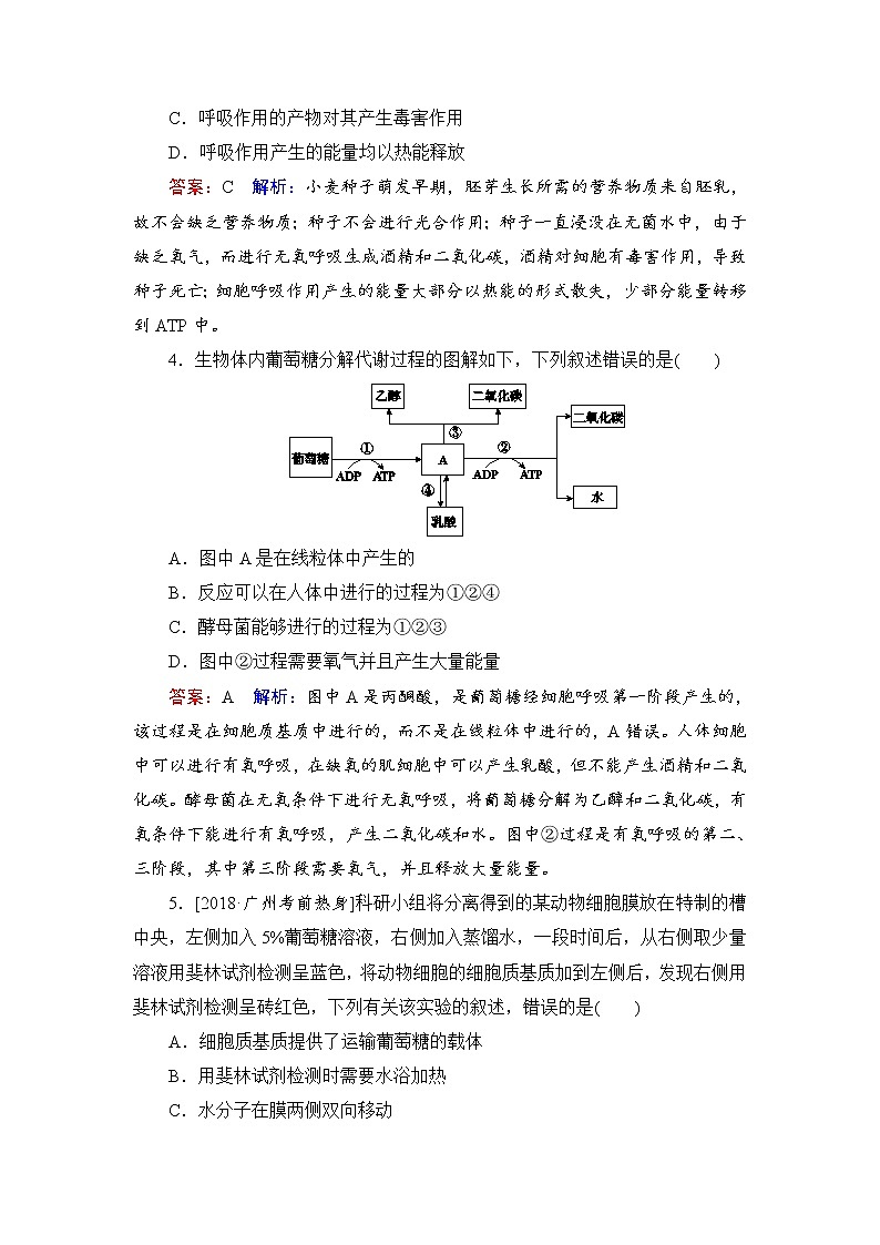 2019届高考生物一轮复习：课时作业9细胞呼吸（含解析） 练习02