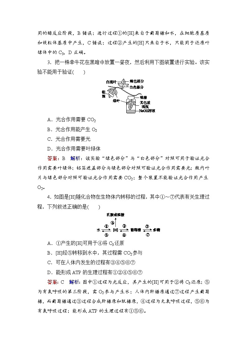 2019届高考生物一轮复习：课时作业11光与光合作用(Ⅱ)（含解析）第2页